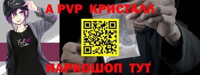 стафф Камышлов