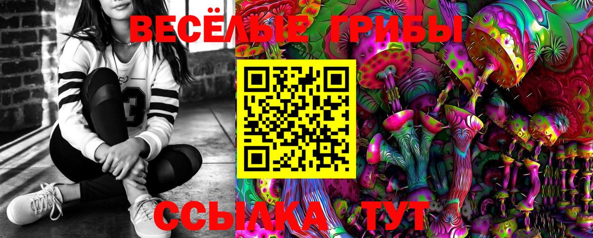 Галлюциногенные грибы ЛСД  Вход с VPN  Галлюциногенные грибы ЛСД  Кузнецк 